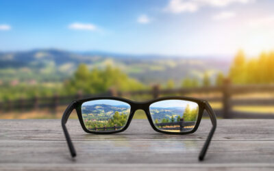 Build Customer Insight into Your Vision